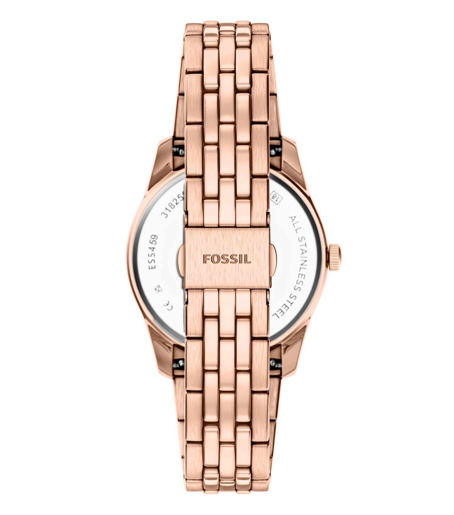 WOMEN SCARLETTE QUARTZ Watch 34MM