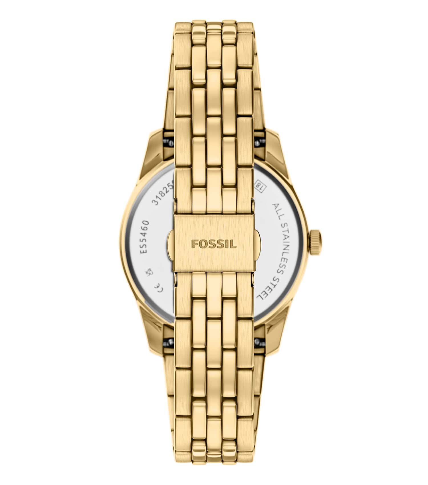 WOMEN SCARLETTE QUARTZ Watch 34MM