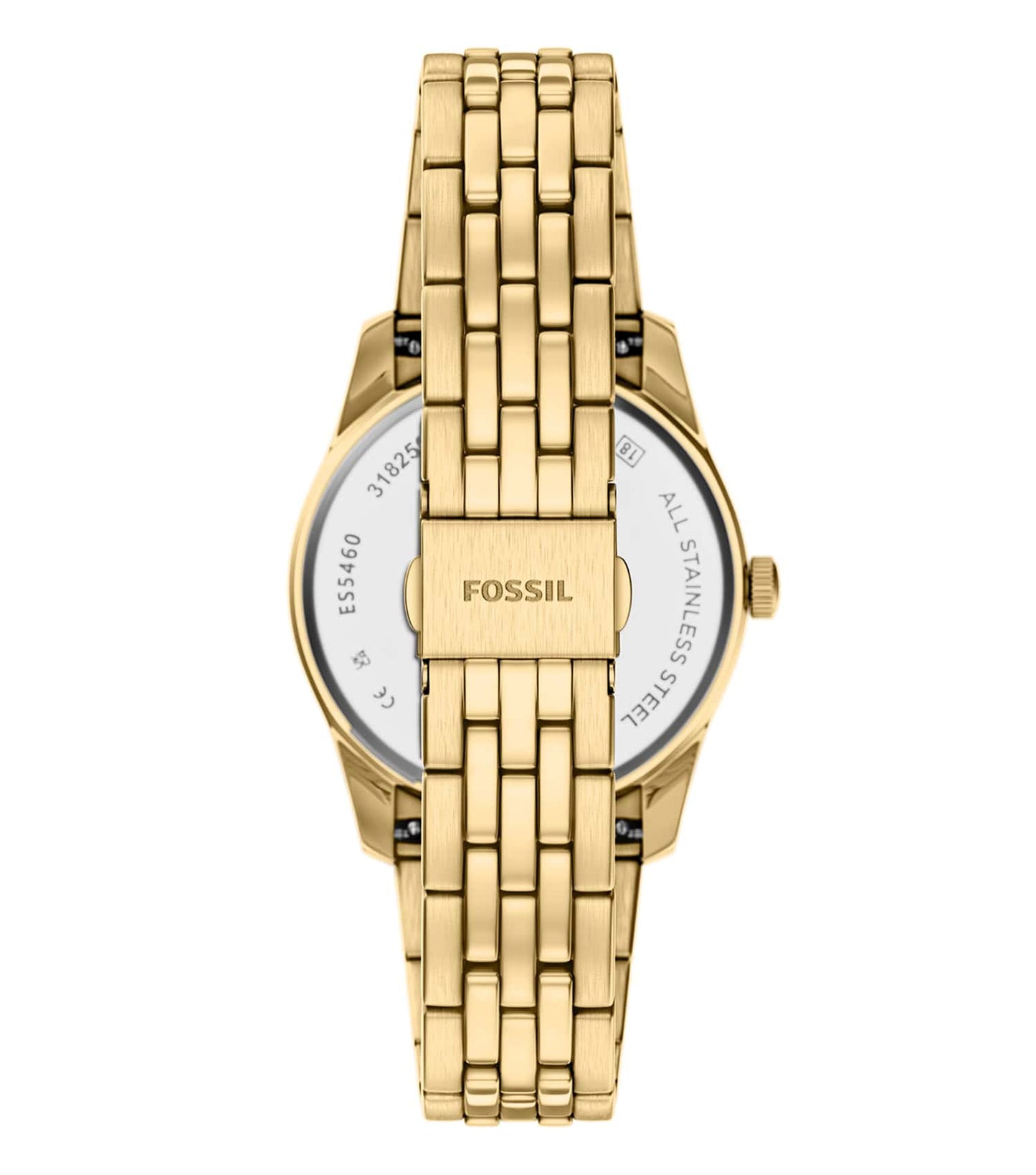 WOMEN SCARLETTE QUARTZ Watch 34MM