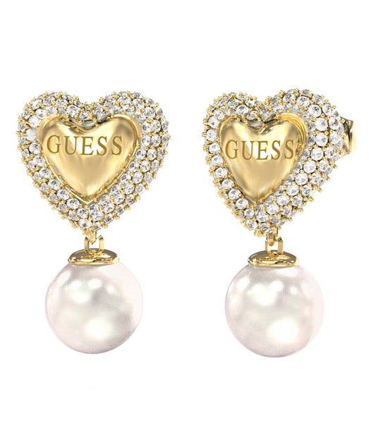 Ladies Beloved Earrings  Steel
