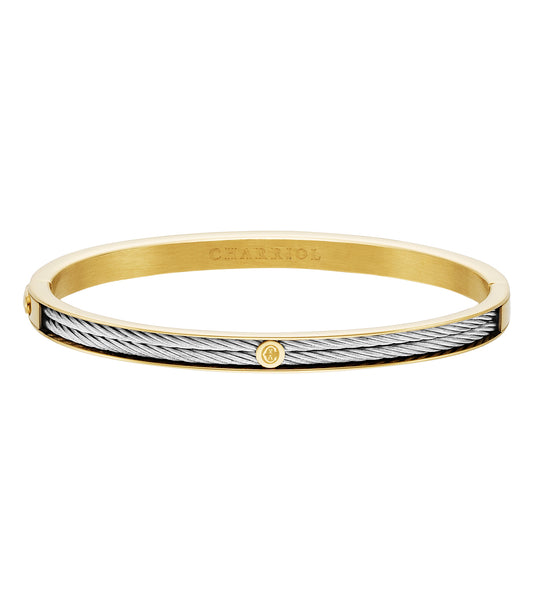 Bangle - PVD Yellow - Forever