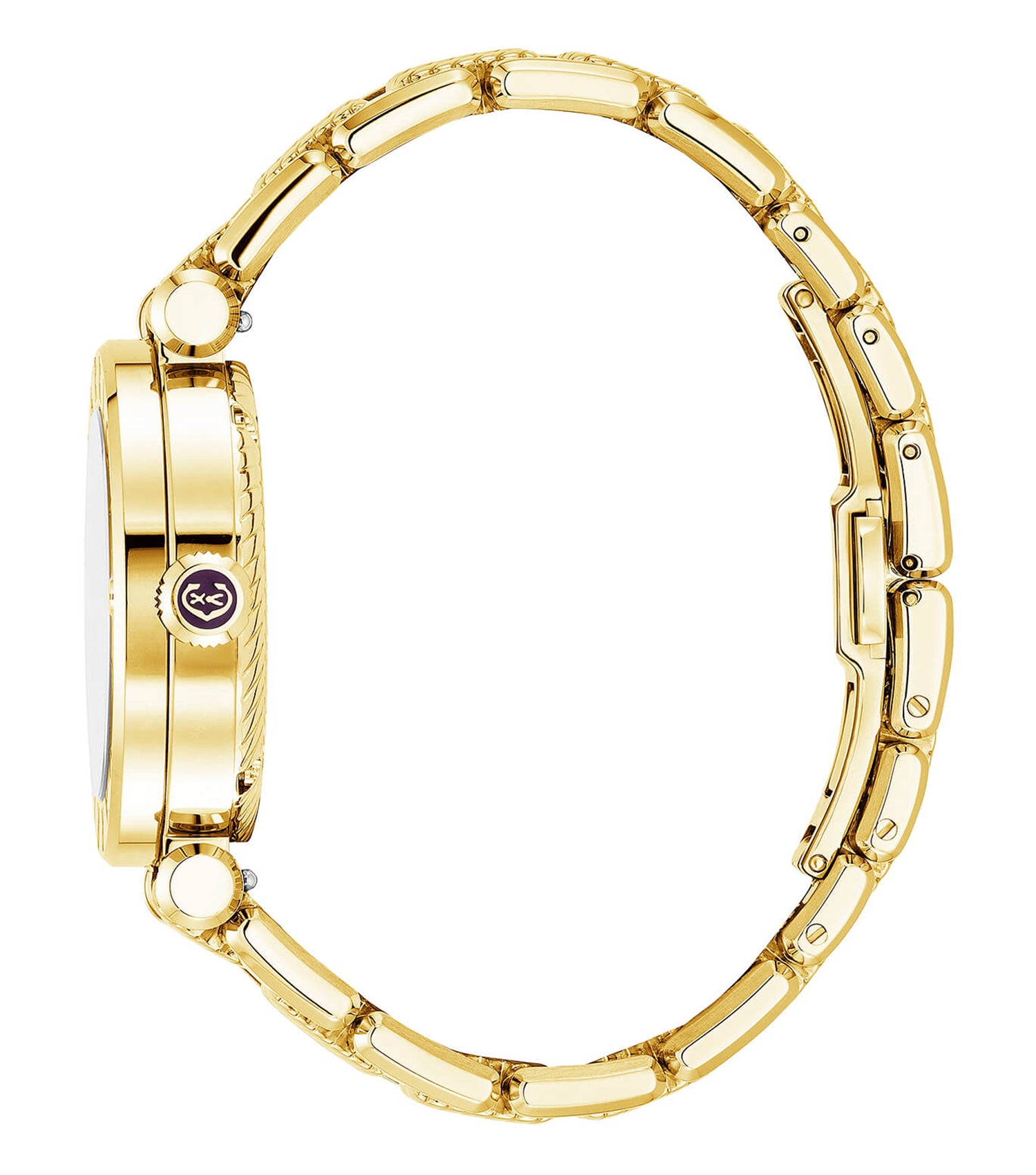 Navigator Cruise 36mm
