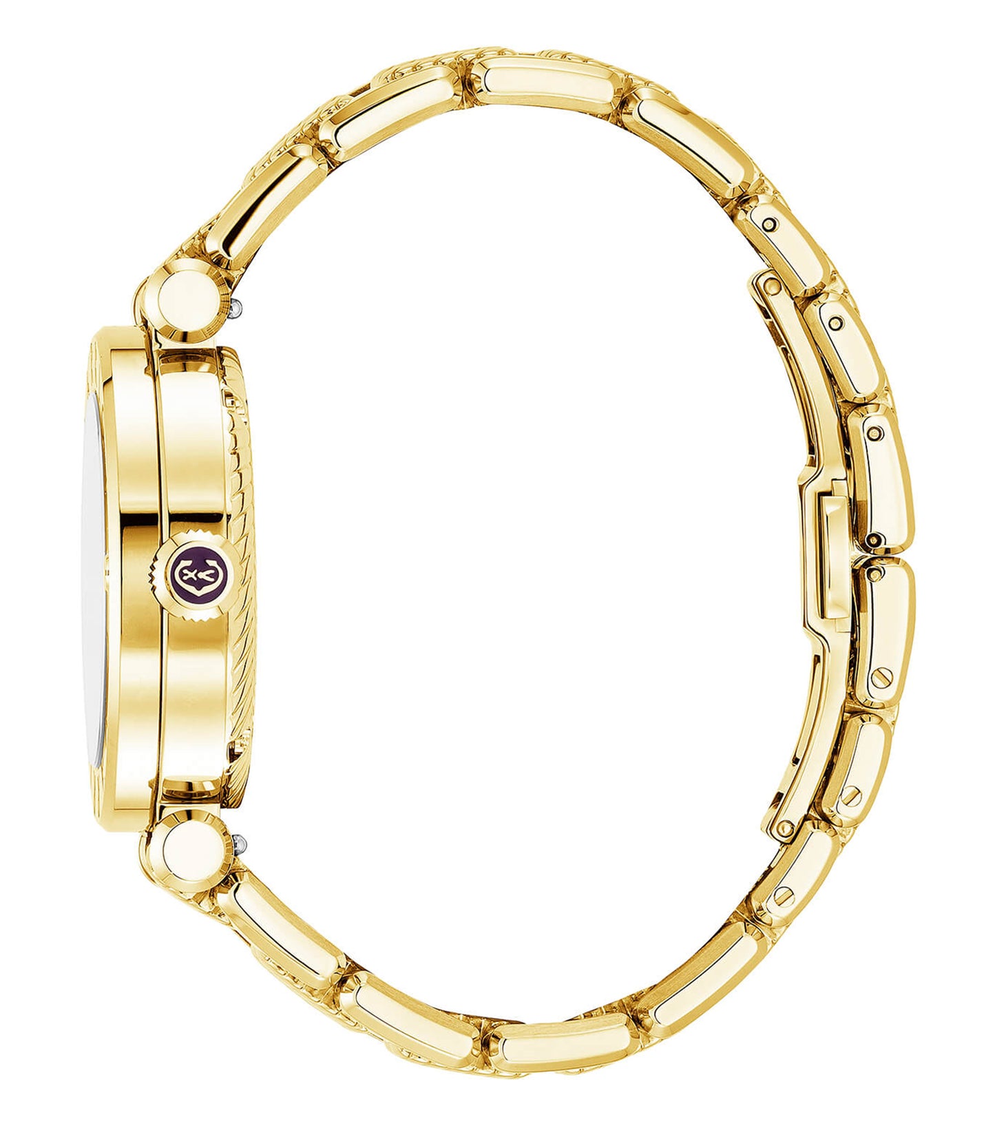 Navigator Cruise 36mm