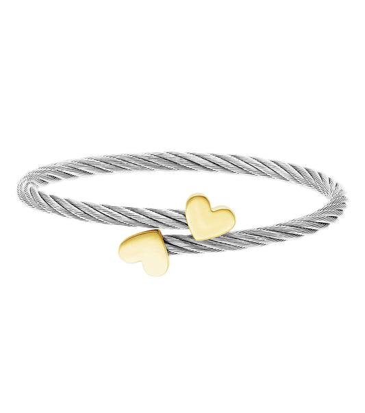 Bangle Passion Steel