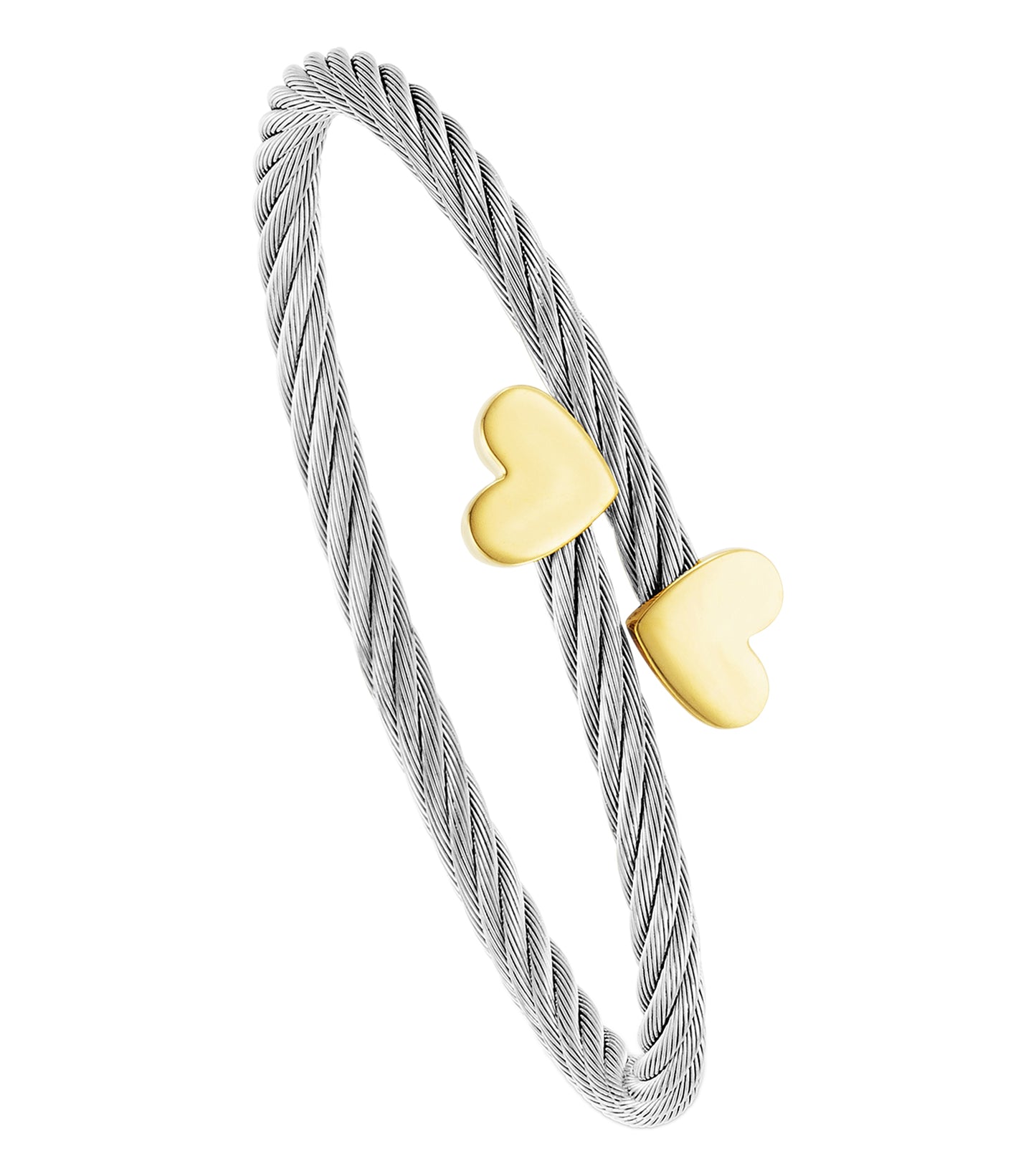 Bangle Passion Steel