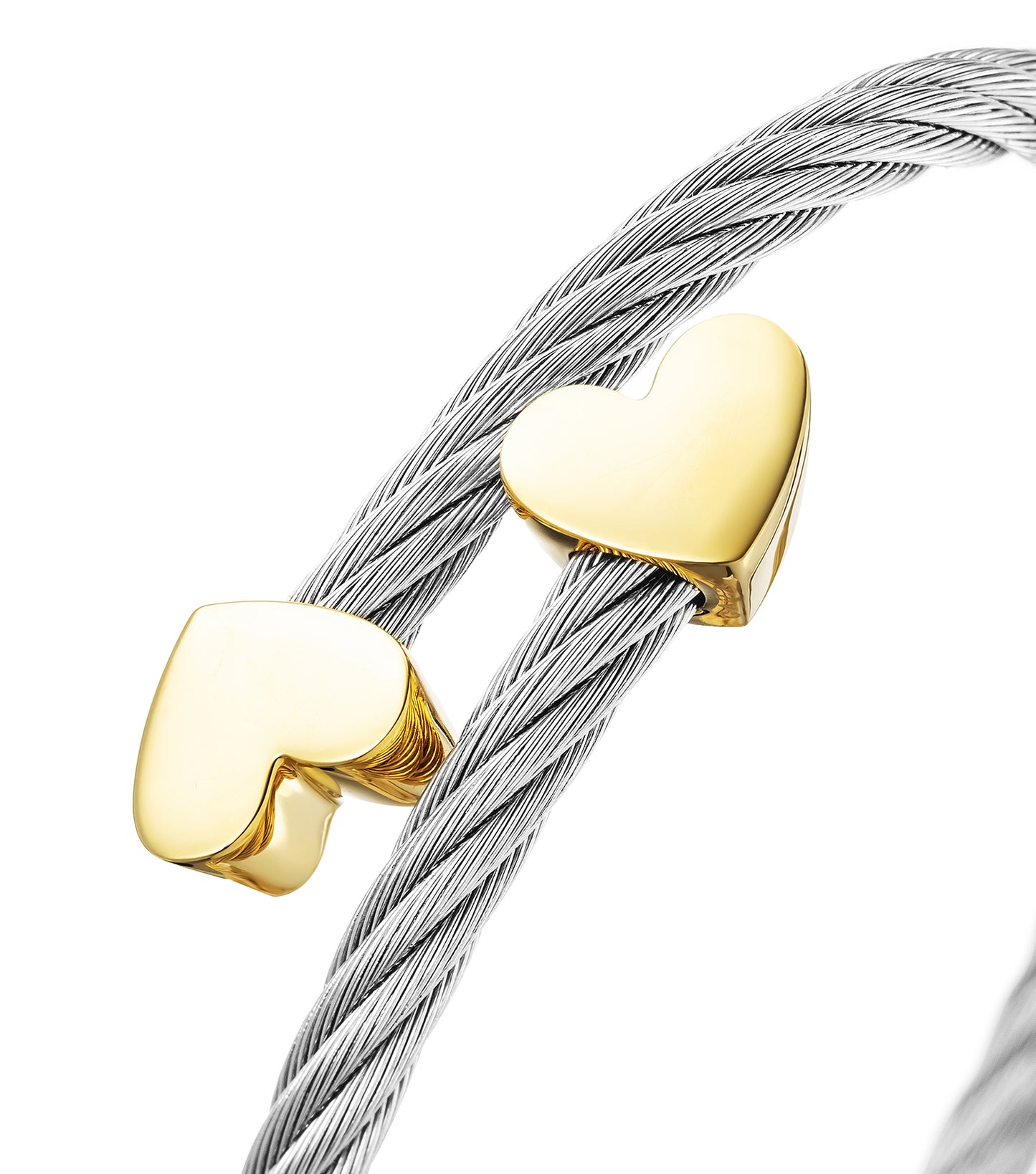 Bangle Passion Steel