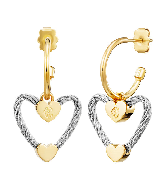 Earrings Passion Steel