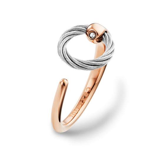 Ring Zen Steel
