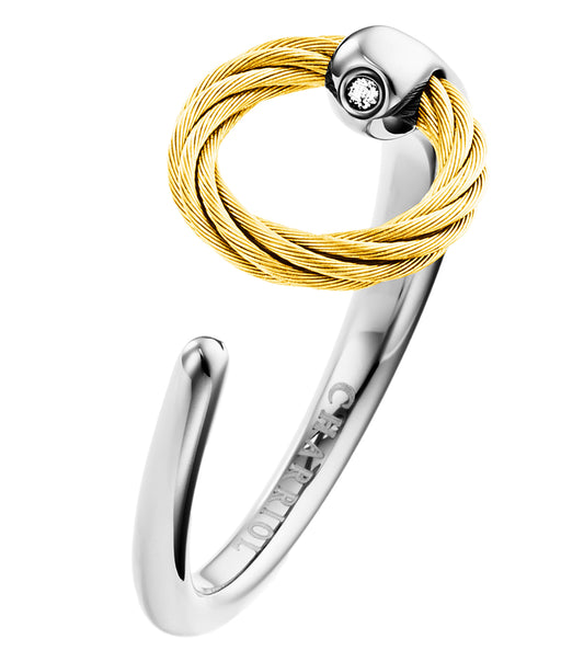 Ring Zen Steel